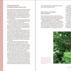"Sea kale (Crambe maritima): Known for vitamin C, early producer of tender shoots. Blanch young shoots. Grows in partial shade."