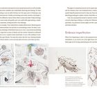 Texte: "Embrace imperfection", "JUN 11-17", "These milkweed flowers were drawn 8 years apart and show improved drawing skills."

Links: Zwei botanische Illustrationen von 2012 und 2020. Rechts: Eine Heuschrecke und Goldrutenblätter.