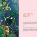 Text: DREAM TO REALITY. Beschreibung von Gewächshaustypen und deren Herausforderungen. Links exotische Blumen mit langen Blättern.