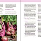 "Secondary Crops", "Beets produce two crops: hearty greens and flavorful roots". Links Seitenansicht zeigt rote Beete im Boden. Rechts Text über verschiedene Gemüsearten. Oben steht "JUNE".