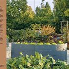 Text zu Techniken gegen Nahrungsmittelknappheit und Bildungsinitiativen. Bild von Hochbeeten mit grünem Gemüse vor Bäumen.