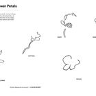 "Finish the Flower Petals" oben, Skizzen von Mohn, Rose, Narzisse, Sonnenblume, Orchidee, Daisy mit Texten daneben.