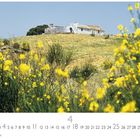 „Sierra de Grazalema“; Kalenderblatt mit strahlendem Frühlingsfeld, gelben Blumen und einem alten weißen Gebäude im Hintergrund.