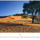 Namib Wüste. Ein Baum steht in der Wüste mit geschwungenen Sanddünen im Hintergrund unter klarem blauen Himmel.