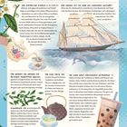 Tee. Aus den smaragdgrünen Blättern der Teepflanze wird eines der beliebtesten Getränke der Welt hergestellt. 