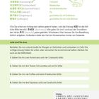 Koreanische und deutsche Begriffe wie "Sandwich" und "Croissant". Anweisung: Höfliche Bitten im Café auf Koreanisch formulieren.