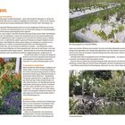 PFLANZENAUSWAHL. Text über Gartengestaltung, Trockenheitstoleranz und Insektennutzung. Fotos von Pflanzenbeeten und Versuchsbereich.