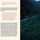 Links ist ein Text über Glühwürmchen und ihre Jagd, rechts leuchtende Glühwürmchen in einer nächtlichen Landschaft.