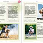"Was ist Enrichment?" und Texte über Pferdewohl, Stressanzeichen und Vertrauensverhältnis. Bilder von Pferden in Aktion.