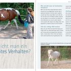 Texte: "Wie erreicht man ein bestimmtes Verhalten?", "Sich das richtige Bild machen", "Einfangen von Verhalten". Bild: Pferd mit Trainerin.