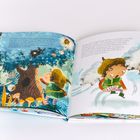 Cover/Produkt Ansicht vergrößern