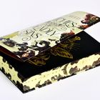 Cover/Produkt Ansicht vergrößern