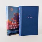 Ein Buch mit dem Titel "DIE BERNSTEINFISCHERIN". Ein Einband zeigt einen blauen Himmel mit Wolken und Vögeln.