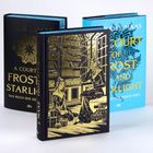 Ein Buchcover zeigt eine goldene Illustration von zwei Frauen in einem Bücherzimmer. Weitere Bücher im Hintergrund.