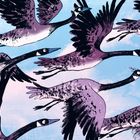 Text: „Das macht Spaß! Wir üben bloß. Wofür denn?“  
Illustration von fliegenden Gänsen in rosa und lila Tönen am Himmel.