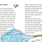 „Doppeltes Unglück“. Illustration: Fliegende Libelle, Schlauch spritzt Wasser. Text über Missgeschick in der Schulküche.