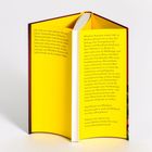 Zwei gelbe Textabsätze beschreiben Wladimir Kaminers Bücher und Aspekte seines Lebens, hinten auf einem geöffneten Buchumschlag.