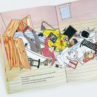 Cover/Produkt Ansicht vergrößern