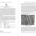 Weitere Belege für Ramses III. in der südlichen Levante. Abb. 112, 113, 114 zeigen Kartuschen und Reliefs aus Megiddo.