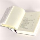 Ein aufgeschlagenes Buch mit Inhaltsverzeichnis: Vorwort, Kapitel über Silicon Valley und Bewusstsein. Beige Seiten.