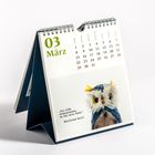 „Ich könnte ihr ja recht geben, aber dann lägen wir ja beide falsch.“ Zwei Stoffvögel stehen nebeneinander.