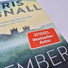 "SPIEGEL Bestseller-Autor" in rotem Kasten, darunter Silhouette von Türmen vor nebliger Landschaft.