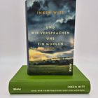 "UND WIR VERSPRACHEN UNS EIN MORGEN" von Inken Witt. Ein Buch mit einem dramatischen Himmel über einer Landschaft.
