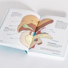 Text: "Leber", "Gallenblase", "Gallenbasis", "Gallenweg", "Dünndarm", "Bauchspeicheldrüse". Illustration von Organen.