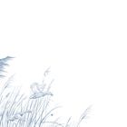 Illustration von Gräsern und zwei fliegenden Enten, dezente blaue Striche auf weißem Hintergrund.