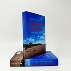 "Frida Gronover - DÄNISCHE AUSSICHT - Gitte Madsen ermittelt." Zwei Bücher, eins stehend, eins liegend, mit Küstenbild.