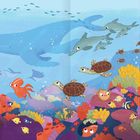 Ein Text über Delfine, Schildkröten und Fische begleitet eine bunte Unterwasserillustration voller Meerestiere und Korallen.