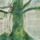 Costa Rica. Ein Wald wird wieder wild. Alvaro liebt Bäume. Er erfährt, dass Bäume wichtig für das Klima sind. Illustration: Junge auf Baum.