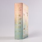 Buchtitel: "A Vow of Light and War", Autor: Ayla Dade. Pastellfarbener Buchrücken mit goldenen Verzierungen.