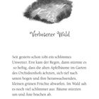 "Verbotener Wald" steht in geschwungener Schrift über einem Text. Oben ist eine Illustration: dunkle Wolken und ein Blitz.