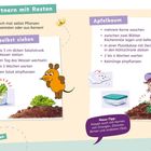 "Gärtnern mit Resten" - Tipps für Pflanzen aus Resten, z.B. Salat oder Apfelbaum. Illustrationen unterstützen Anleitungen.