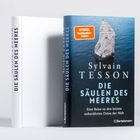 Zwei Bücher, das rechte zeigt: "Sylvain Tesson, DIE SÄULEN DES MEERES". Ein Fels im Meer illustriert das Cover.