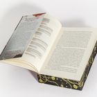 Ein aufgeschlagenes Buch zeigt Text auf zwei Seiten; links sind SMS-artige Nachrichten, rechts ein Fließtext.