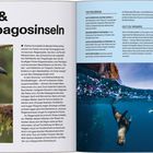 "Ecuador & die Galapagosinseln. April - Mai. Nass und wild." Ein exotischer Vogel, Händler auf Markt, Schnorchler im Meer.