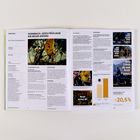 "Hornbach: Jedes Frühjahr ein neuer Anfang." Text mit Diagrammen, Bildern von Aktivitäten im Freien und einem Zuwachs von +20,5%.