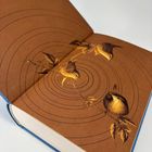 Offenes Buch mit Illustration: Drei Vögel auf einem Zweig, umgeben von konzentrischen Kreisen auf braunem Hintergrund.