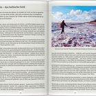 "Bernstein – das baltische Gold" und Bildunterschrift: "Nach einem Sturm sind die Chancen auf Bernsteinfunde am Strand am größten".