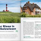 "Roter Riese in den Salzwiesen. ...bei Westerheversand an der Nordseeküste #3." Links Leuchtturm in Wiesen, rechts Backsteinhaus.