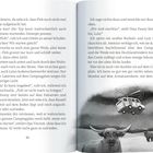 Seiten 96 und 97 eines Buches mit Text über nächtliches Campingabenteuer. Unten rechts eine schwarzweiße Illustration: fliegendes Auto, zwei Rinder.