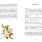 10. Kapitel. Text beschreibt eine Szene mit Emma und Mr. Weston. Unten links: Illustration rosa Blüten und Blätter. Seitenzahl 329.