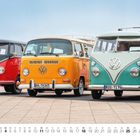 Nummern: B-ST 763, AA-TH 347, ROS-TI 76. Drei bunte, klassische VW-Busse stehen nebeneinander.