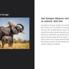 Text links oben: "Selbstfürsorge".  
Rechts: "Der Körper flüstert, bevor er schreit. Hör hin..."  
Bild: Elefant mit Jungtier in Graslandschaft.