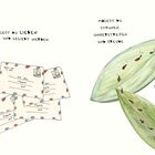 Briefe und Blätter mit Marienkäfern. Texte: Mögest du lieben und gemocht werden. Mögest du staunen und Freude finden.