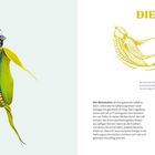 "DIE BLAUMAISE", "MAIS // BLAUMEISE". Eine Illustration: Eine Blaumeise mit einem Körper aus Maiskolben. Texterklärung links.