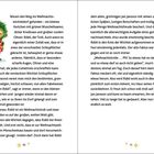 Text beschreibt Rübli, den Troll, seine Abenteuer, Schlüpflöcher und seine Aufnahme in das Dorf der Wichtel. Illustration eines grünen Wesens links.