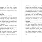 Seite enthält fortlaufenden Text über Küken, ihre Mutter Lily, Nahrungssuche, und Einar, der Futter beobachtet.